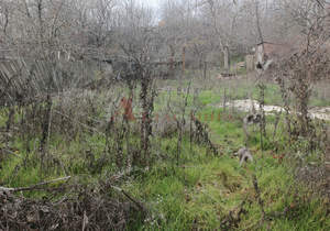 Дом 101м&sup2;, 1-этажный, участок 9 сот.  