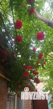 Дом 70м&sup2;, 1-этажный, участок 1 сот.  