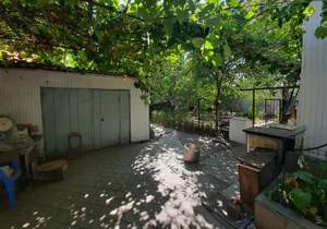 Дом 55м&sup2;, 1-этажный, участок 4 сот.  