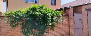 Дом 175м², 2-этажный, участок 5 сот.  