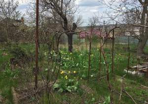 Дом 45м&sup2;, 2-этажный, участок 7 сот.  