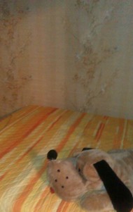 Фото комнаты в аренду (4)