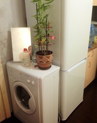 Фото комнаты на продажу (3)