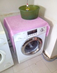 Фото комнаты на продажу (6)