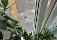 Фото комнаты на продажу (3)