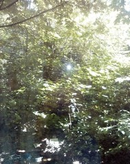 Фото комнаты на продажу (5)