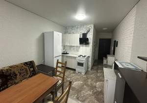 Студия квартира, на длительный срок, 27м2, 7/17 этаж