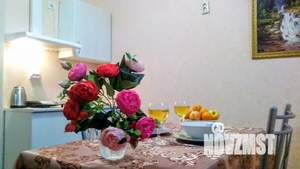 Студия квартира, посуточно, 25м2, 1/2 этаж