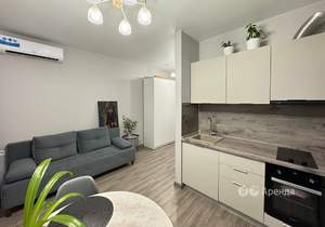 Студия квартира, на длительный срок, 21м2, 23/24 этаж