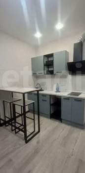 Студия квартира, на длительный срок, 23м2, 8/24 этаж