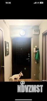 Студия квартира, на длительный срок, 30м2, 15/18 этаж