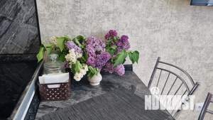 1-к квартира, посуточно, 35м2, 19/26 этаж