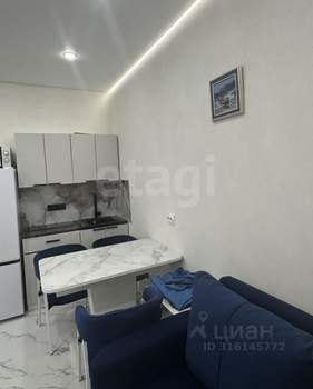 Студия квартира, на длительный срок, 23м2, 19/24 этаж