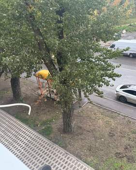 Студия квартира, на длительный срок, 30м2, 3/10 этаж