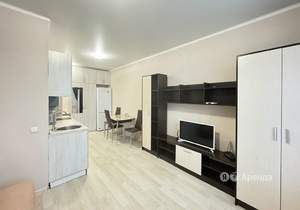 Студия квартира, на длительный срок, 26м2, 13/19 этаж