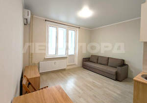 Студия квартира, на длительный срок, 27м2, 13/20 этаж