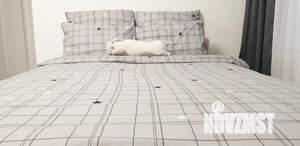 Студия квартира, посуточно, 25м2, 5/9 этаж