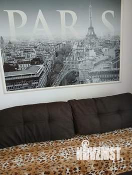 Студия квартира, на длительный срок, 29м2, 6/19 этаж