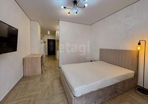 Студия квартира, на длительный срок, 28м2, 22/24 этаж