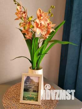 Студия квартира, посуточно, 30м2, 3/5 этаж