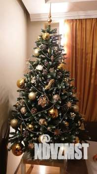 1-к квартира, посуточно, 55м2, 11/16 этаж