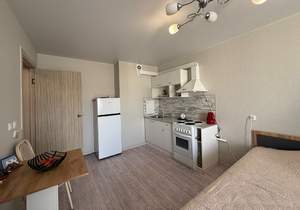 Студия квартира, на длительный срок, 26м2, 16/18 этаж