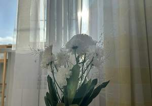 Студия квартира, на длительный срок, 24м2, 6/9 этаж