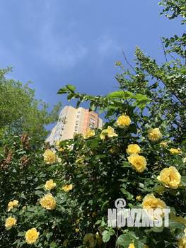 1-к квартира, на длительный срок, 43м2, 7/18 этаж