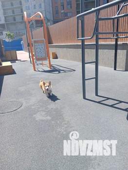 Студия квартира, посуточно, 32м2, 2/25 этаж