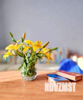 1-к квартира, посуточно, 40м2, 8/9 этаж