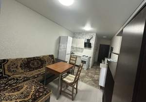 Студия квартира, на длительный срок, 27м2, 7/17 этаж