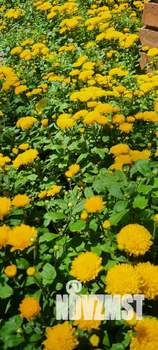 1-к квартира, на длительный срок, 30м2, 8/9 этаж