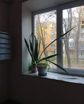 1-к квартира, на длительный срок, 31м2, 3/5 этаж