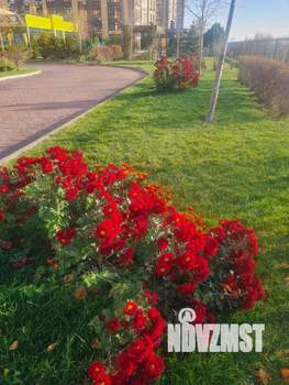 1-к квартира, на длительный срок, 39м2, 20/25 этаж