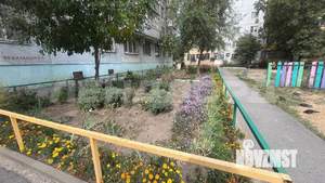 1-к квартира, на длительный срок, 31м2, 2/9 этаж