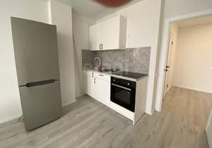 1-к квартира, на длительный срок, 47м2, 19/19 этаж