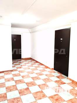 1-к квартира, на длительный срок, 38м2, 14/17 этаж