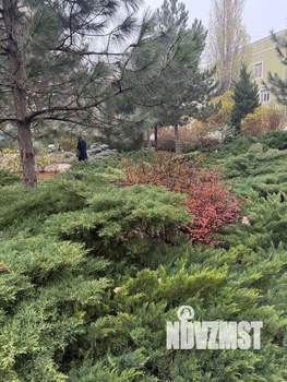 Студия квартира, на длительный срок, 40м2, 10/21 этаж