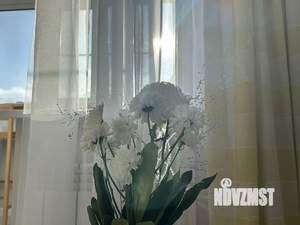 Студия квартира, на длительный срок, 25м2, 6/9 этаж