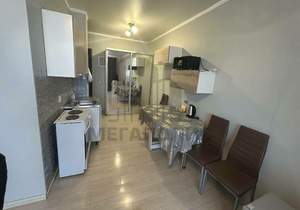 Студия квартира, на длительный срок, 28м2, 17/18 этаж