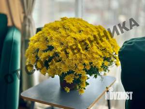 3-к квартира, на длительный срок, 120м2, 13/16 этаж