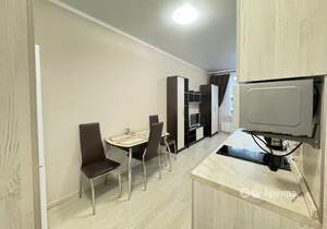 Студия квартира, на длительный срок, 26м2, 13/19 этаж