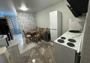 Студия квартира, на длительный срок, 27м2, 7/17 этаж