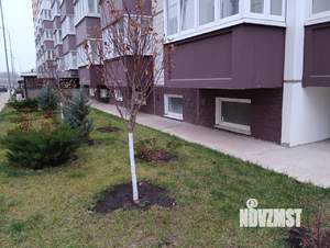 Студия квартира, на длительный срок, 28м2, 2/19 этаж