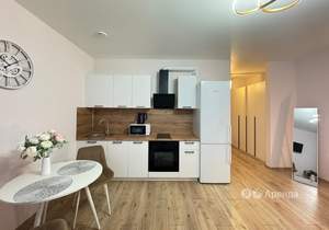 Студия квартира, на длительный срок, 30м2, 20/25 этаж