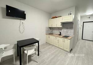 Студия квартира, на длительный срок, 22м2, 15/25 этаж