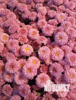 4-к квартира, на длительный срок, 96м2, 1/10 этаж