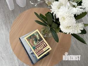 Студия квартира, посуточно, 24м2, 6/9 этаж