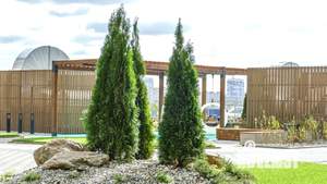 Студия квартира, вторичка, 25м2, 2/19 этаж