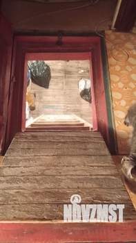 3-к квартира, вторичка, 60м2, 1/9 этаж